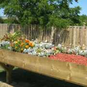 A raised wooden garden bed is filled with flowers of white orange and yellow in a fenced back yard. A large mature tree shades the yard with full green branches.